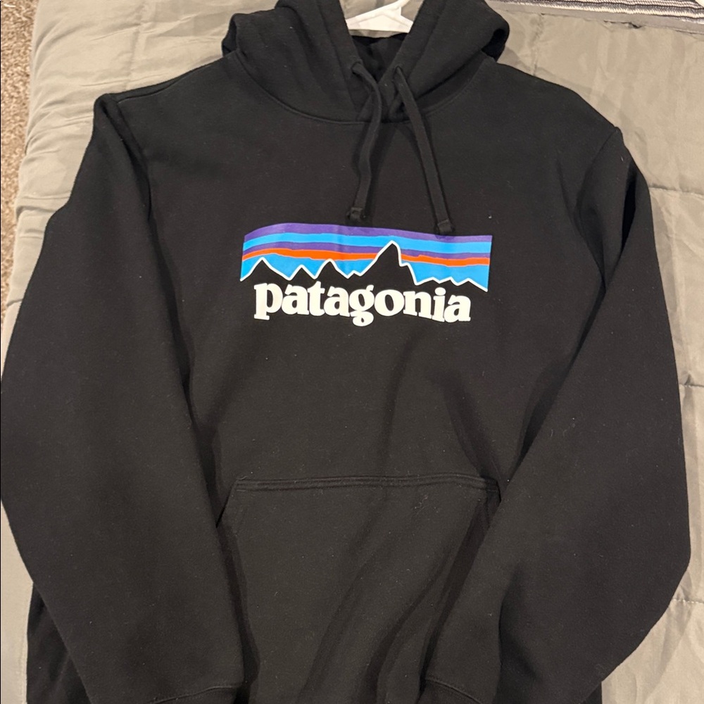 Patagonia Black Hoodie with Blue and Purple Accents